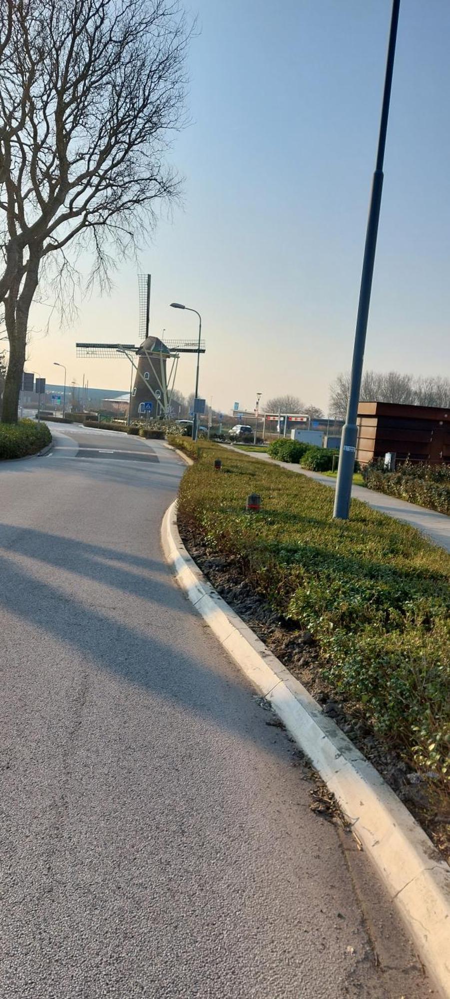 Wijngaardstraat 7A Domburg Villa Exteriör bild